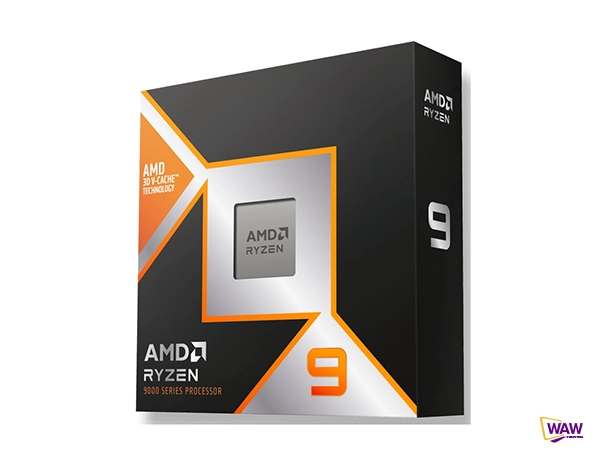 AMD Ryzen 9 9900X3D Processor
